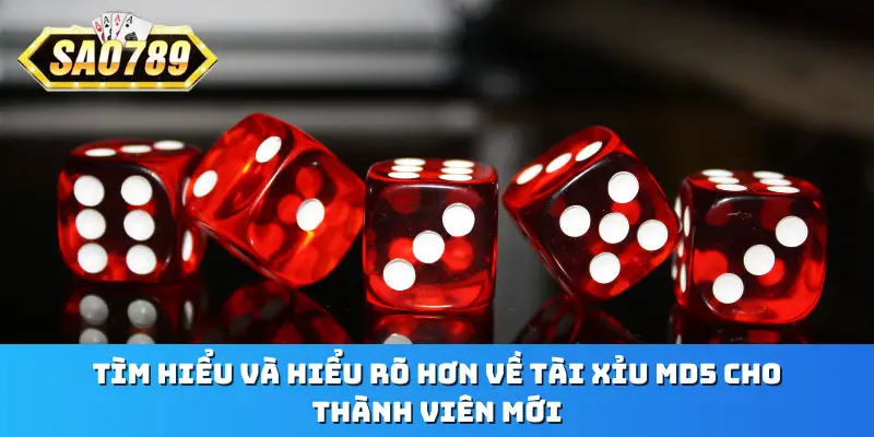 Tìm hiểu và hiểu rõ hơn về tài xỉu MD5 cho thành viên mới